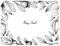 Hand Drawn Frame of Belimbing Merah and Cambui Roxo Fruits Royalty Free Stock Photo