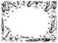 Hand Drawn Frame of Peanuts Plant and Snow Peas Royalty Free Stock Photo