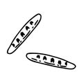 Hand drawn french bread baguettes in doodle style. Perfect for tee, stickers, cards. Isolated vector illustration