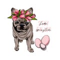 Hand drawn french bulldog dog wearing a tulip crown. Vector engraved quarantine poster. Ejoy spring, stay at home. Covid Royalty Free Stock Photo