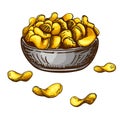 Hand drawn fresh fried heap of potato chips in bowl isolated on white background. engraved sketch of crisp snack. Vintage