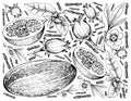 Hand Drawn of Fresh Fruits on White Background