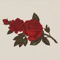 Hand drawn fresh red rose Royalty Free Stock Photo