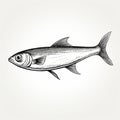 Hand Drawn Freshwater Fish Illustration In Silver Cartoon Style