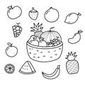 Fruit basket vector illustration with doodle style isolated on white background Royalty Free Stock Photo