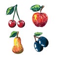 Hand drawn fruit collection