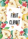 Hand-drawn fruit rectangular frame with ripe yellow pears, red crab apples and green leaves Royalty Free Stock Photo