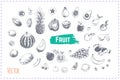 Hand drawn fruits and berries set. Vector icons Royalty Free Stock Photo