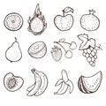 Hand drawn fruits collection. Royalty Free Stock Photo