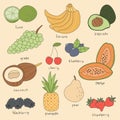 Hand Drawn Fruits Illustration Vector - lime, banana, avocado, grape, cherry, blueberry, papaya, coconut, blackberry, pineapple, p