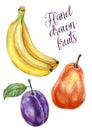 Hand-drawn fruits, isolated fruits on a white background, banana, pear and plum