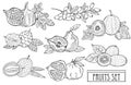 Hand drawn fruits set