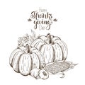 Hand-drawn fruits and vegetables. Thanksgiving and harvest festival. Engraved style.