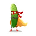 Cucumber in traditional costume of superhero vector illustration
