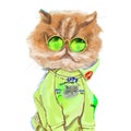 Hand-drawn funny fashion illustration of a Persian cat, in a trendy neon lime green outfit