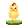 Funny little yellow chick standing on grass vector illustration