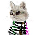 Hand-drawn funny stylized fashion illustration of an American Shorthair fashionista cat in a trendy outfit