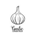 Hand drawn garlic icon