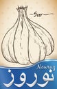 Hand Drawn Garlic or Seer for Health in Nowruz Celebration, Vector Illustration