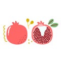 Hand drawn garnet, pomegranate. Love fruit concept.