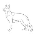 Hand drawn German Shepherd dog. Sketch vector illustration Royalty Free Stock Photo