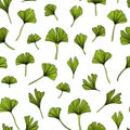 Hand drawn ginkgo pattern