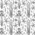 Hand drawn ginseng seamless pattern. Vector illustration in sketch style. Medicinal plant background. Botany design Royalty Free Stock Photo