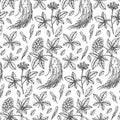 Hand drawn ginseng seamless pattern. Vector illustration in sketch style. Medicinal plant background. Botany design Royalty Free Stock Photo