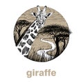 Hand drawn giraffe, sketch graphics illustration on white background Royalty Free Stock Photo