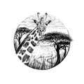 Hand drawn giraffe, sketch graphics monochrome illustration on white background Royalty Free Stock Photo