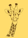 Hand drawn giraffe