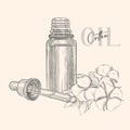 Hand drawn glass bottle with pipette. Vector cotton fruit. Medicinal plant with glass dropper bottle. Engraved Art Royalty Free Stock Photo