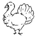 A hand-drawn gobbler. cartoon-style painted bird, isolated black turkey outline on white for Thanksgiving holiday design template