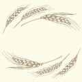 Hand drawn gold ripe wheat ears frame, border or corner element. Royalty Free Stock Photo