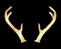 Hand drawn golden deer antlers