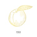 Hand drawn golden fruits