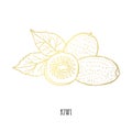 Hand drawn golden fruits