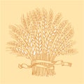 Hand drawn golden ripe wheat sheaf.