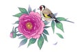 Hand Drawn Goldfinch Sitting on Peony Branch