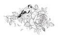 Hand Drawn Goldfinch Sitting on Rose Branch