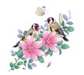 Hand Drawn Goldfinches Sitting on Pink Flower