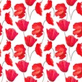 Hand-drawn gouache floral seamless pattern with the red poppy flowers on white background, Natural repeated print for