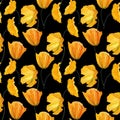 Hand-drawn gouache floral seamless pattern with the yellow poppy flowers isolated on black background, Natural repeated