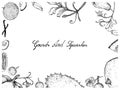 Hand Drawn of Gourd and Squash Fruits Frame Royalty Free Stock Photo