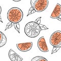 Hand drawn grapefruits, oranges pattern on white background.