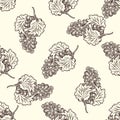 Hand drawn grapes seamless pattern. Bunch of grapes on light background Royalty Free Stock Photo