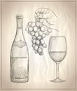 Man hand holding bunch of grapes, glass of wine and a bottle of wine illustration Royalty Free Stock Photo