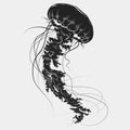 Hand drawn graphic jellyfish. Vector illustration. Tattoo sketch. Sea collection. on a white background Royalty Free Stock Photo