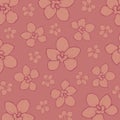 Hand-drawn Graphic Orchid: Amesiella Pop Colour 002