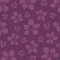 Hand-drawn Graphic Orchid: Amesiella Pop Colour 006